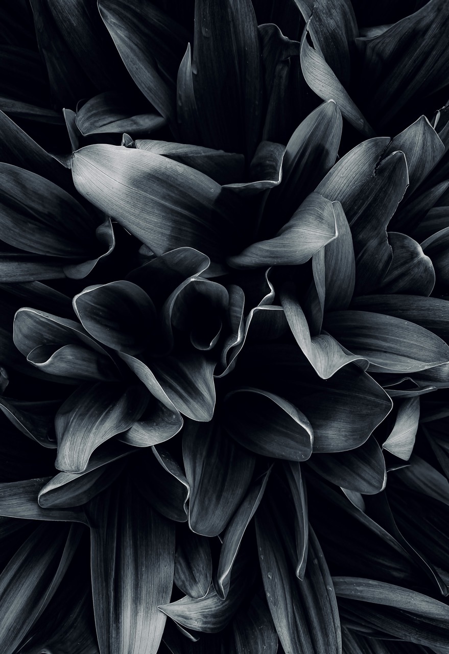 eugene-golovesov-diIuskIzgho-unsplash