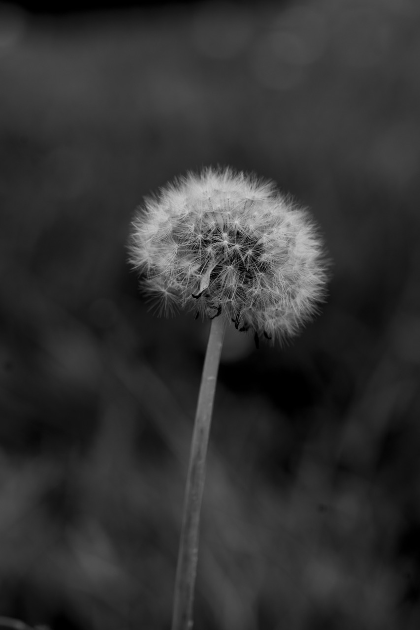 swaaap-swap-whatswaaap-art-reflection-bruxelles-absurde-contradiction-nexus-langage-auteur-a-m-8YSWw_C6s8Q-unsplash