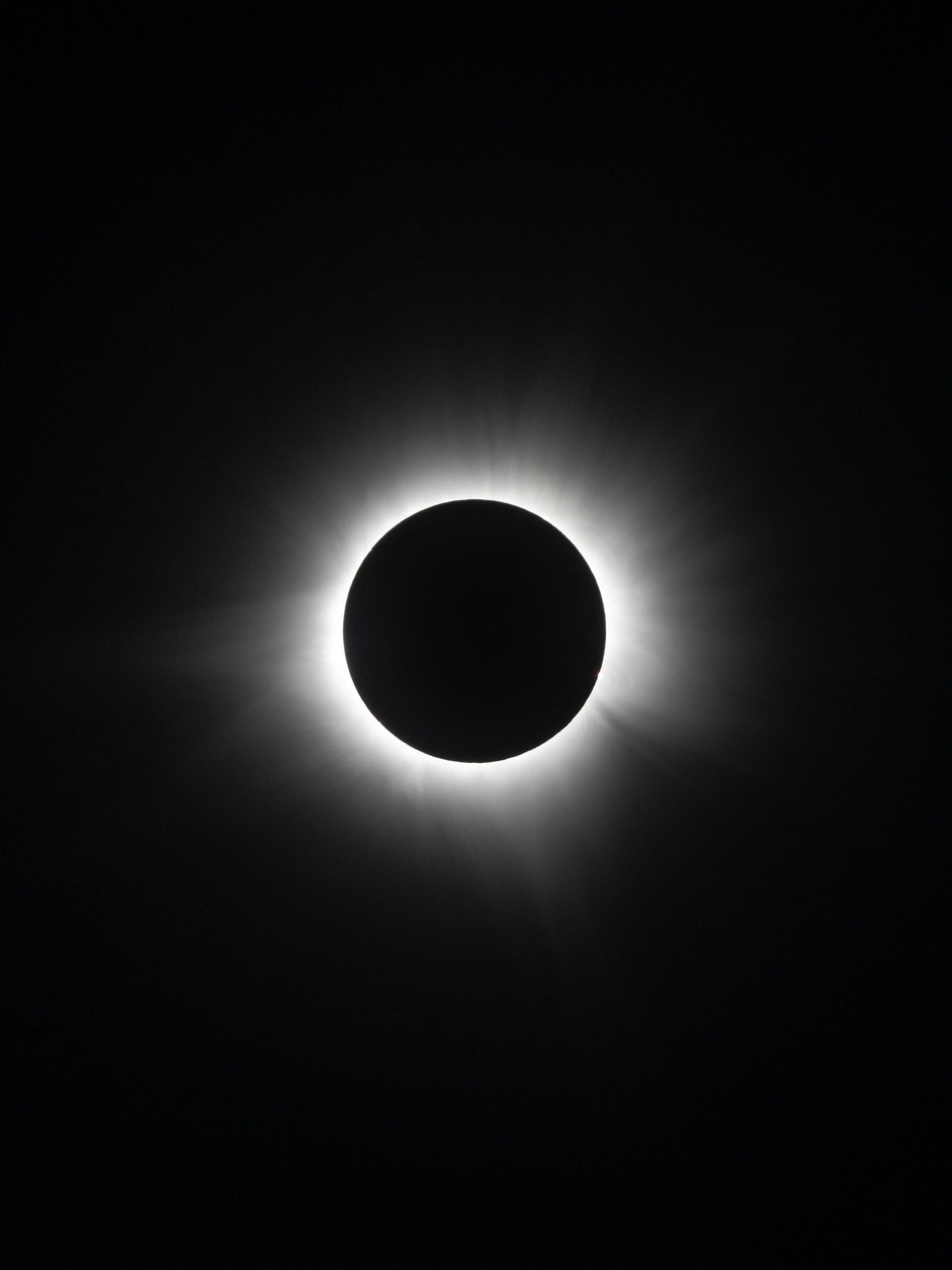 swaaap-swap-whatswaaap-art-reflection-bruxelles-absurde-contradiction-nexus-langage-auteur-drew-dempsey-z7_hZGythoY-unsplash