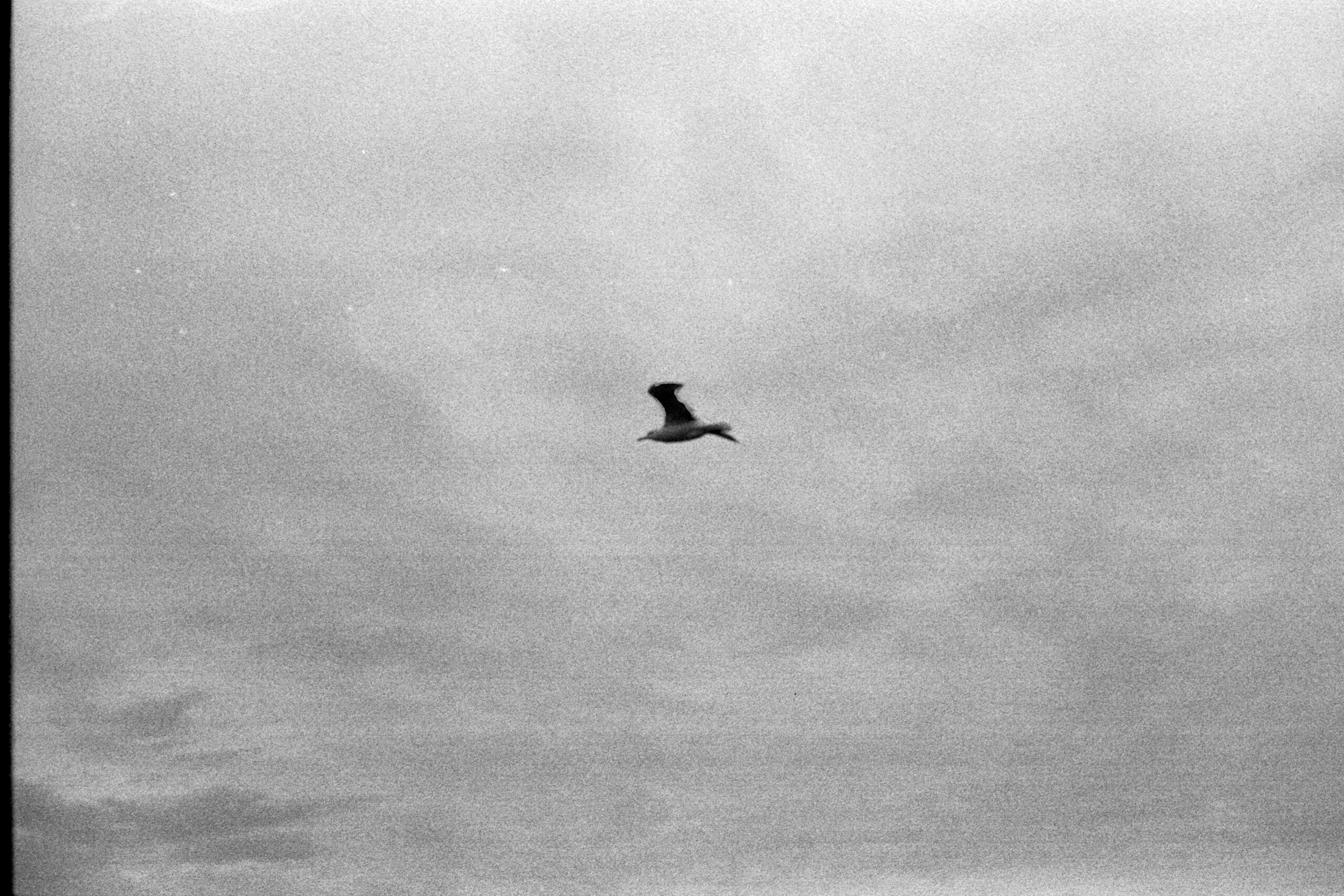 ahmed-3KGtOhArchk-unsplash